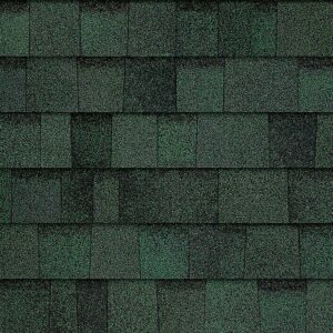 TruDefinition Duration Shingle Color - Chateau Grean