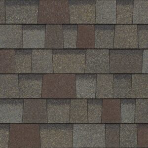 TruDefinition Duration Shingle Color - Driftwood