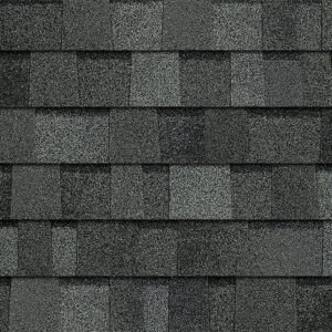 TruDefinition Duration Shingle Color - Estate Gray