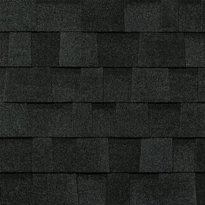 TruDefinition Duration Shingle Color - Onyx Black