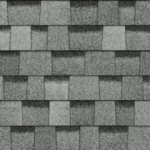 TruDefinition Duration Shingle Color - Sierra Gray