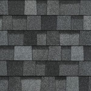 TruDefinition Duration Shingle Color - Slatestone Gray
