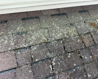 Moss and lichen don’t cause immediate leaks, but they often signal areas where shingles stay damp longer and wear faster.