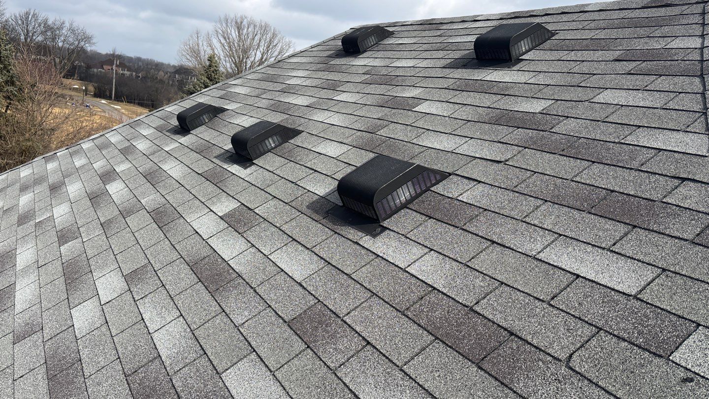 Gray shingled roof with several black vents, showing signs of weathering, with trees and cloudy sky in the background.
