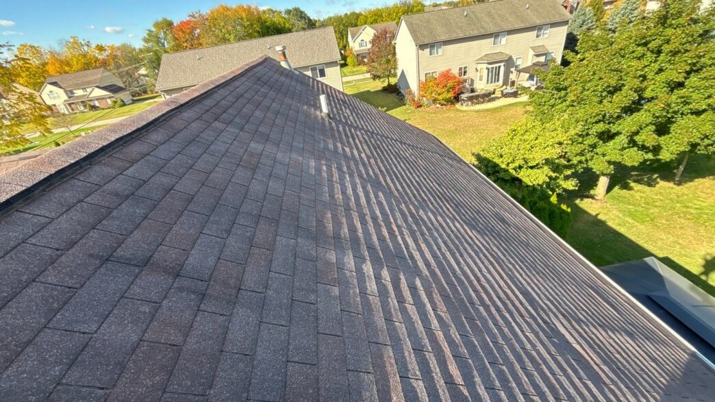 Before photo – Dan Murphy (Troy, MI)