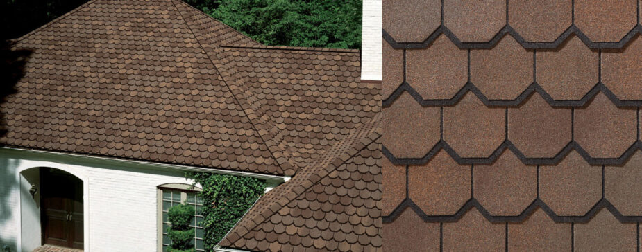 Designer Carriage House shingles on home.