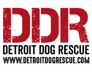 Detroit Dog Rescue logo. DDR in red, Detroit Dog Rescue and detroitdogrescue.com in black, on a gray background. RoofAdvisor Gives Back.