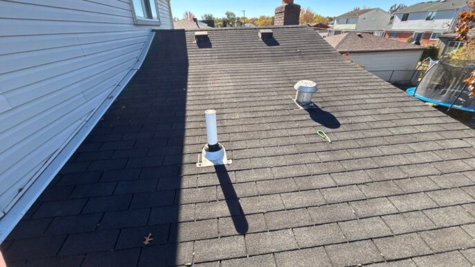 Asphalt shingle roof with lifted shingle tab exposing roofing nails beneath
