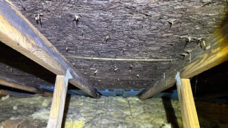 Interior and attic inspections help confirm whether roof conditions are affecting the structure underneath.