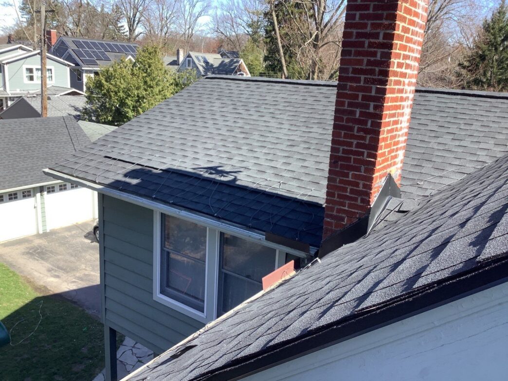 After photo — Mary Snodgrass (Ann Arbor, MI)