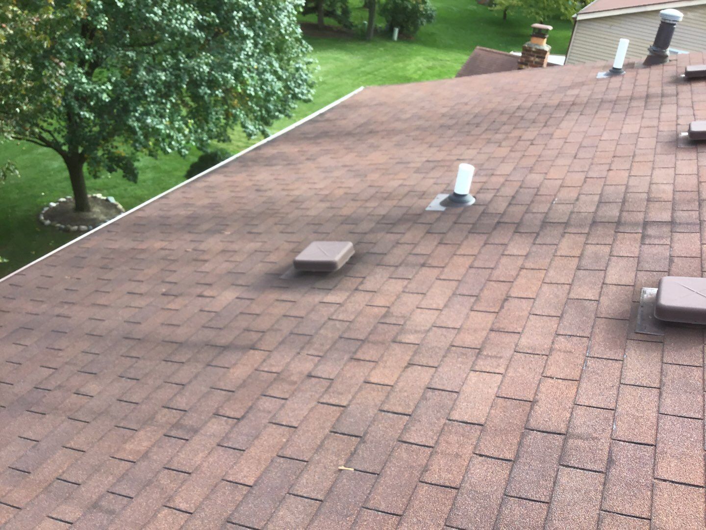 Weathered brown asphalt shingles on a sloped residential roof in Livonia showing signs of age, including several ventilation hoods and a plumbing pipe.