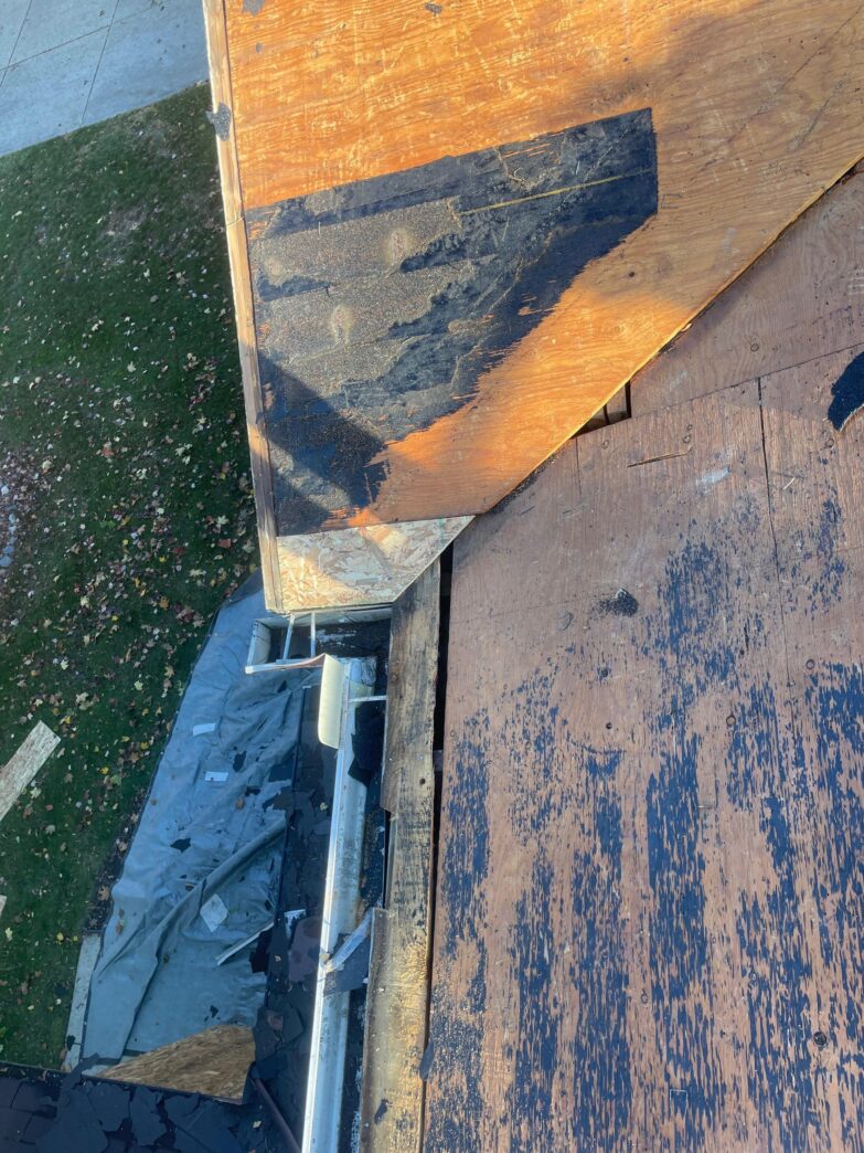 High angle view of a bare plywood roof deck during a Livonia roof replacement project showing exposed wood sheathing and a section of installed fascia.