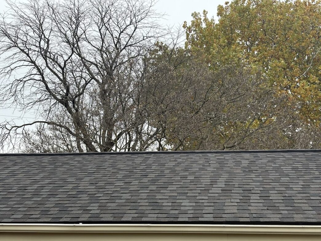 Close-up of a 5-Star Roofing installation by Leila A, showcasing the roofing-1-1 shingles pattern and quality against a backdrop of trees and sky.